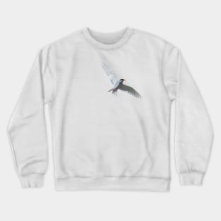 Black Fronted Tern Crewneck Sweatshirt